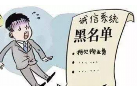 赣州为什么选择专业追讨公司来处理您的债务纠纷？